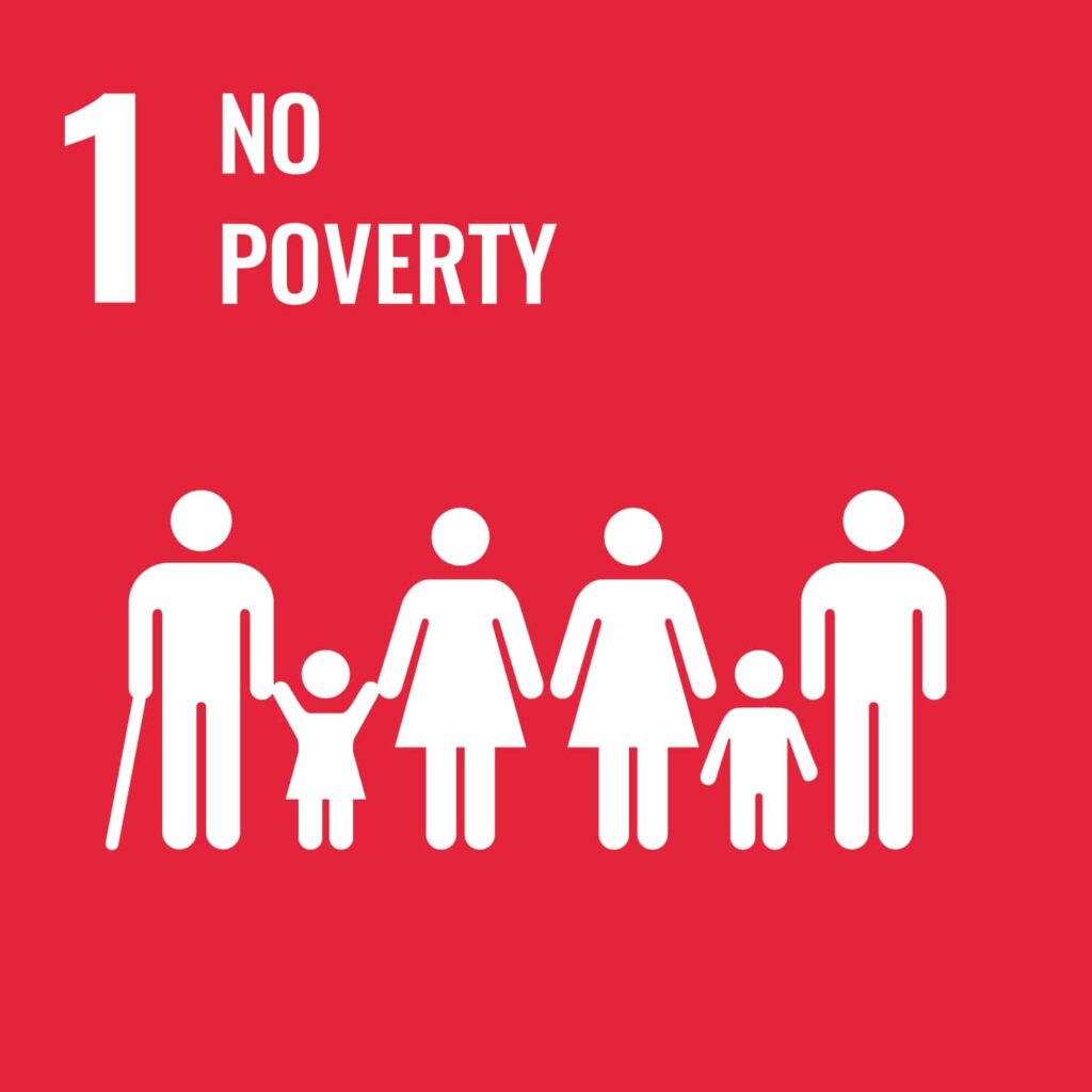 Visual icon for SDG 1, No poverty