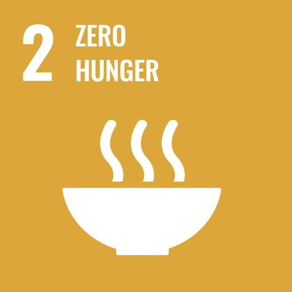 Visual icon for SDG 2, Zero hunger