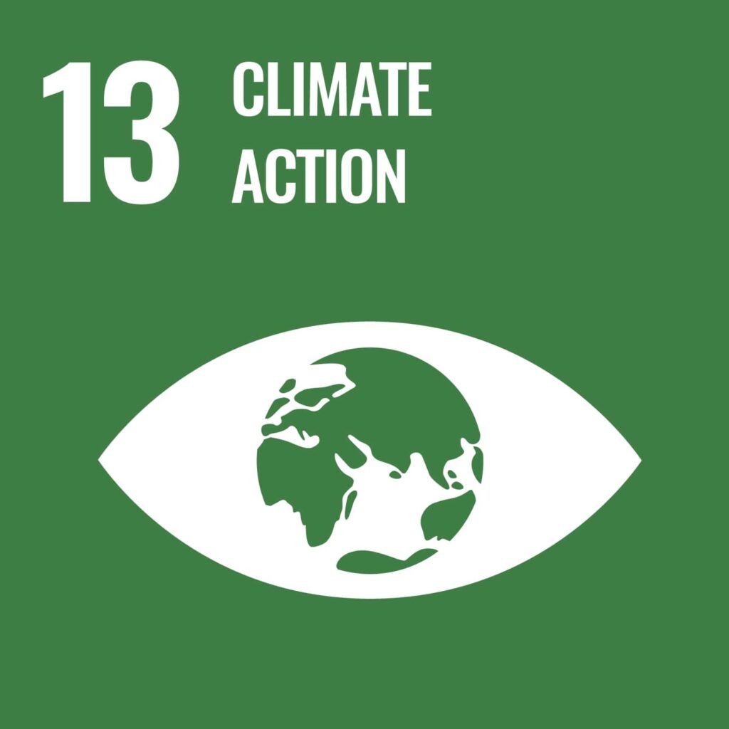 Visual icon for SDG 13, Climate action