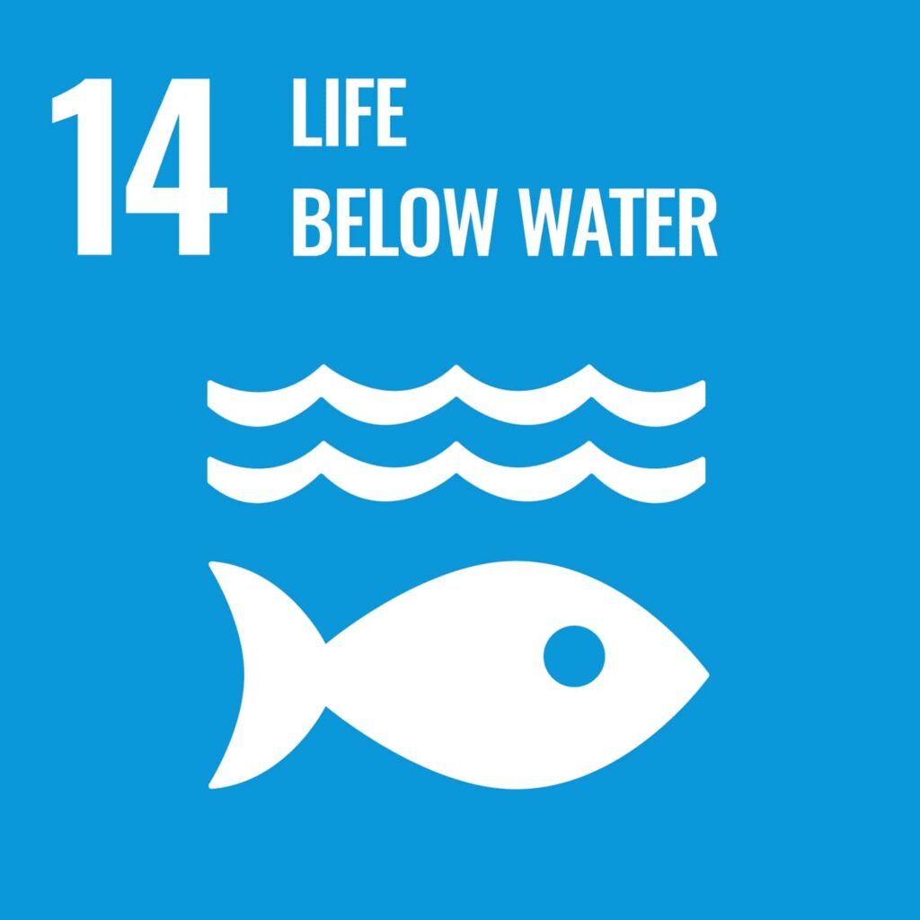 Visual icon for SDG 14, Life below water
